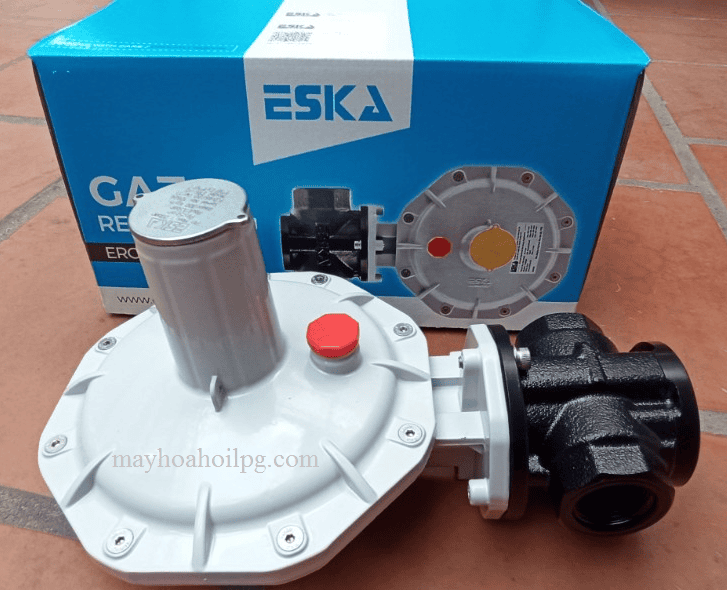 VAN ĐIỀU ÁP ERG-H5 300kg/h